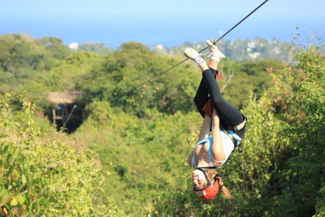  Canopy adventure 